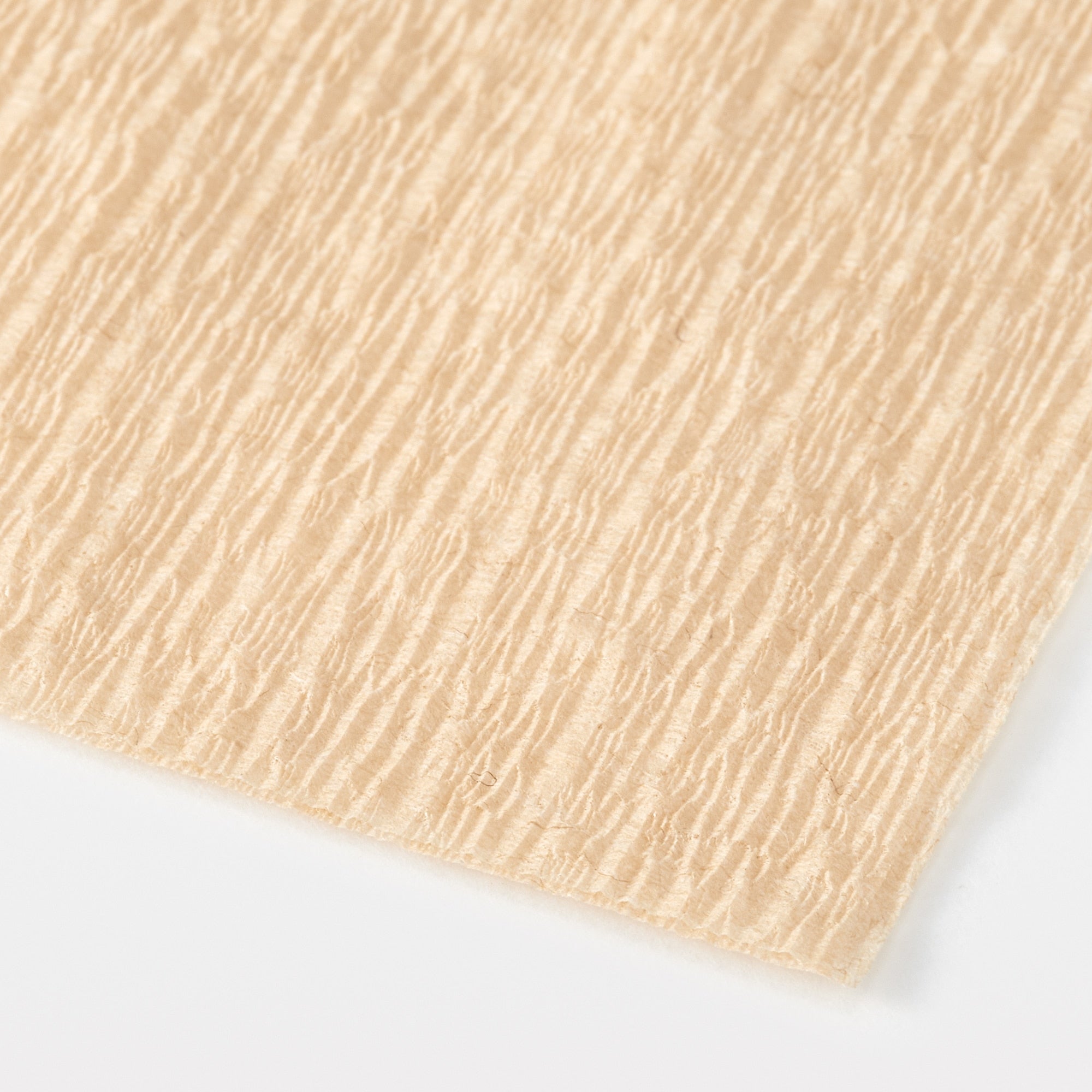 Paper Towel - Image 4