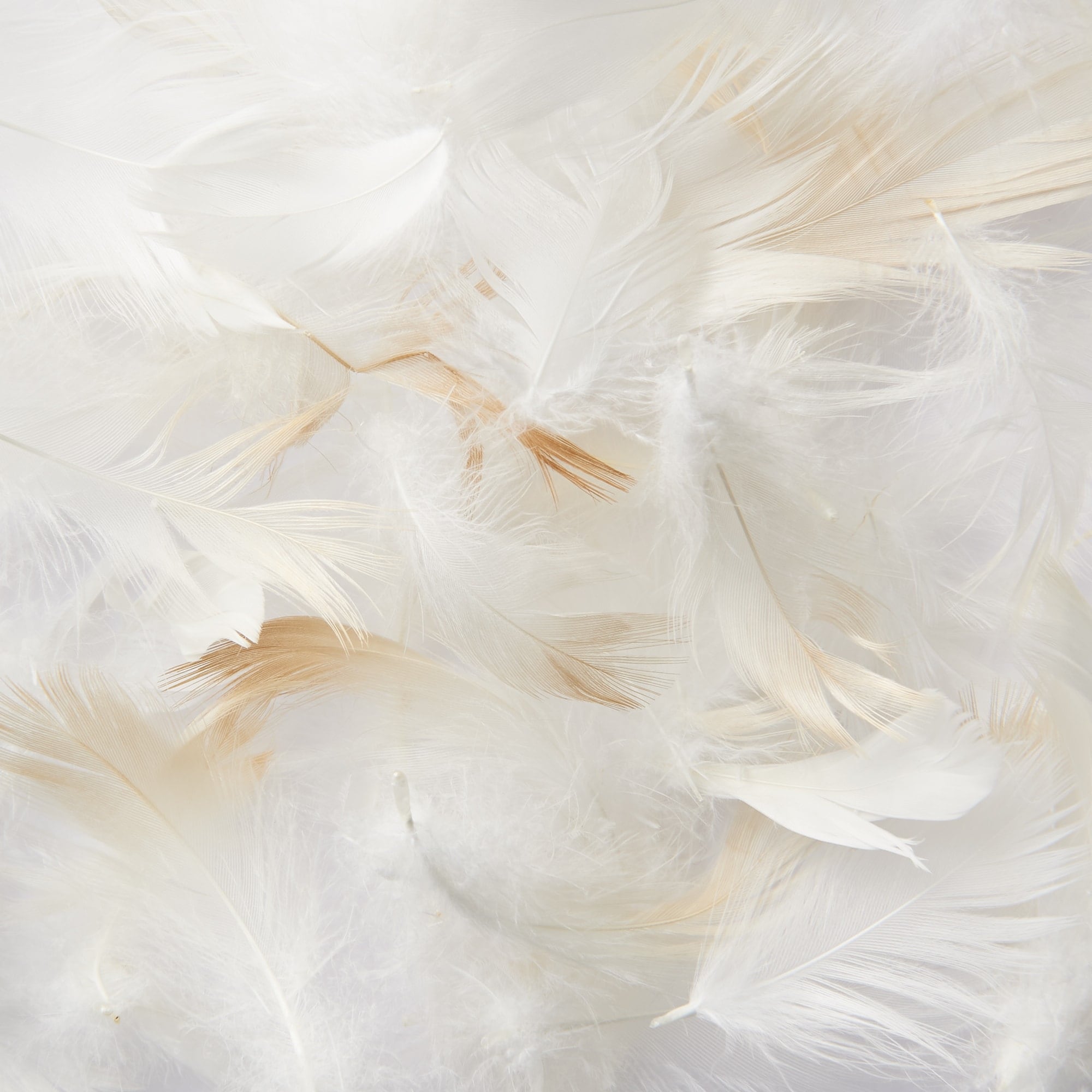 Feather Pillow - 19.7 x 27.6 - Image 3