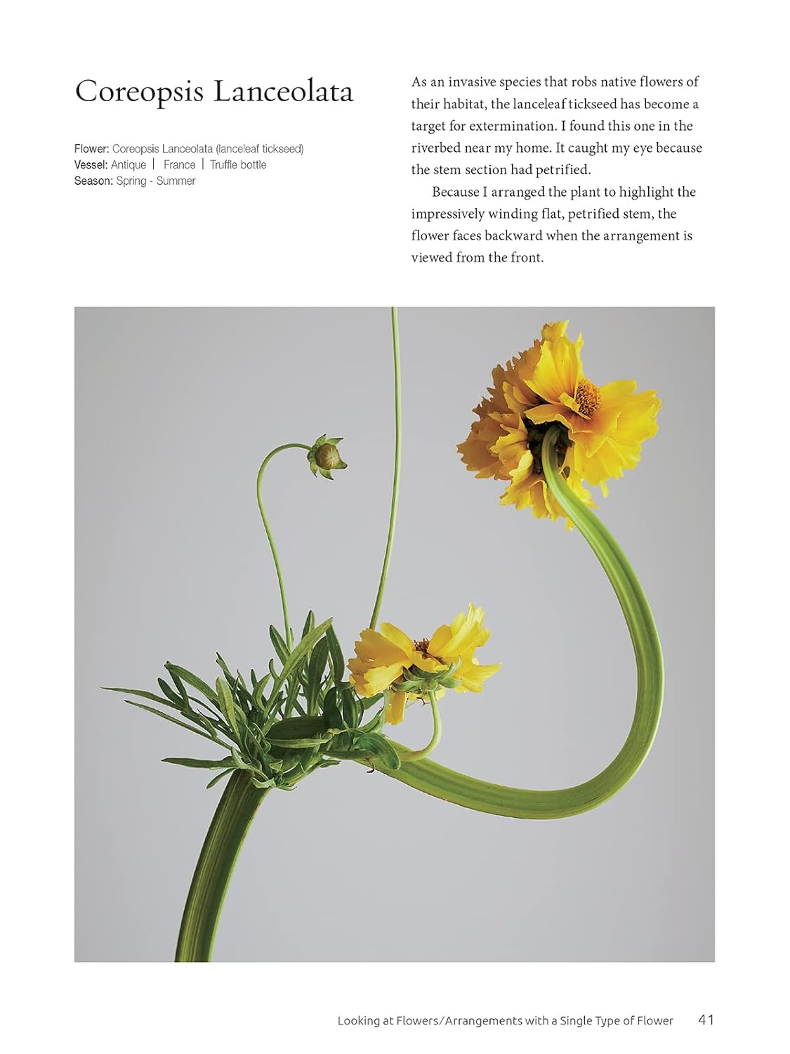 Ikebana: The Zen Way of Flowers - Image 4
