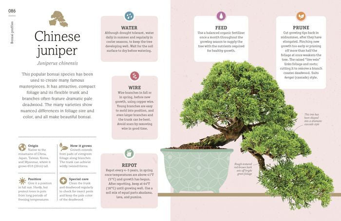 Happy Bonsai: Choose It. Shape It. Love It - Image 3